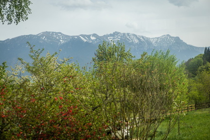 240416-14-49-26-6I5A7482 AI